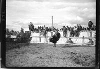 Bob Estes on 359 Bull