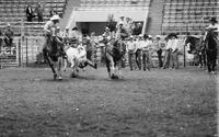 Wayde Longcrier Steer wrestling