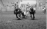 Mike Johnson Steer wrestling
