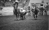 Gary Green Steer wrestling