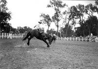 [Unidentified Cowboy with letter "G" on chaps riding and staying with his mount in center of arena]