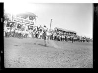 Tex Lewis on Downey Park