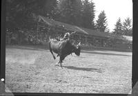 Sonny Oden off Yeheudie