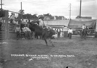 Brahmer Steer Riding Shawnee Rodeo