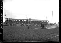 Reg Jesperson Calf roping