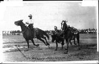 Jim Massey Bulldogging Fred Beebe Rodeo N.Y.