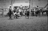 Mark Muggli Steer wrestling