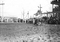 [Unidentified Cowboy in the dirt after being thrown by bronc]