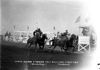 Finish Roman Standing Race Okla Free State Fair Muskogee