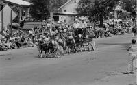 Parade, Mules & wagon