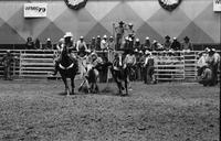Chas. Fineberg Steer wrestling