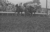 Craig Glasgow Steer wrestling