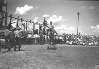 [Unidentified cowboy riding bronc]