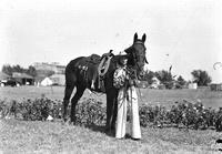 [Unidentified cowgirl with "Miss…" sash posed with horse]