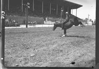 Fred Badsky on Chris Fox