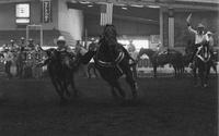 Randy Staley Steer wrestling