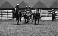 Mark Owen Steer wrestling