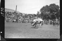 Ray Snyder off Tulare