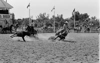 Jim Rodriguez & John Paboojian Team roping