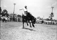 [Unidentified Cowboy riding bronc]