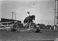 [Little girl jumping pony over bar suspended by two men]