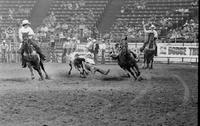 Rodney Towe Steer wrestling