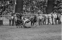 Rod Hagge Calf roping, 3.9 Sec