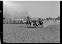 Lex Connelly Steer Wrestle