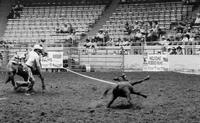 Jr. Lewis Calf roping