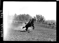 Bob Duce on Tiny Tim