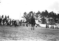 Lewis Brooks on "Pop Corn" Fla. Cow Capital Round-Up Kissimmee