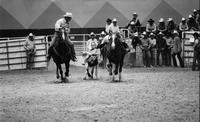 Tom Ferguson Steer wrestling, 3.6 Sec