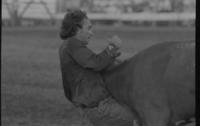 Benny Benjamin Steer wrestling