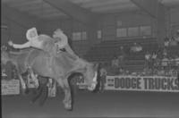 Buddy Reynolds on Sheep Camp