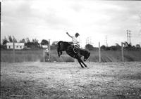 [Unidentified Cowboy riding bronc]