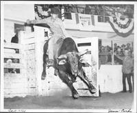 Carl King [Bull riding] 1-31-48