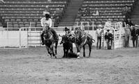 Myron Kunze Steer wrestling