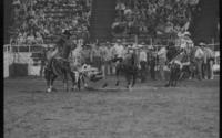 Lance Robinson Steer wrestling