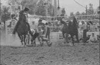 Rob Juker Steer wrestling