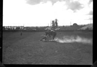 Buck Baldwin  Mexico