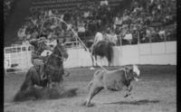 Roy Durfey Calf roping