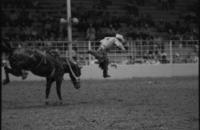 Merlon Fairbanks on Alamo Bill