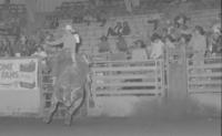 Condon Coos on Bull #J01