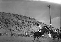 [Unidentified Cowboy riding bareback Bronc whose hindquarters are airborne & legs ready to kick out]