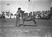 Jimmy Nesbitt and Mule "Billy Sunday"