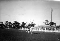 [Unidentified cowgirl doing hippodrome stand with hands overhead]