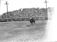 [Unidentified Cowboy leaving off rear of bronc in front of capacity filled hillside]