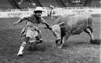 Rodeo clown Jerry Don Galloway Bull fighting