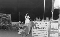 Lonnie Wyatt on Bull #100