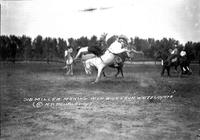 Sid Miller Making High Dive from "White Coyote"